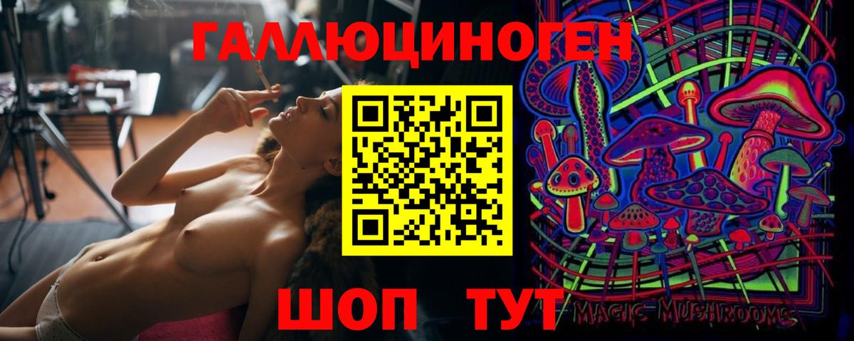 Галлюциногенные грибы Psilocybe Котовск