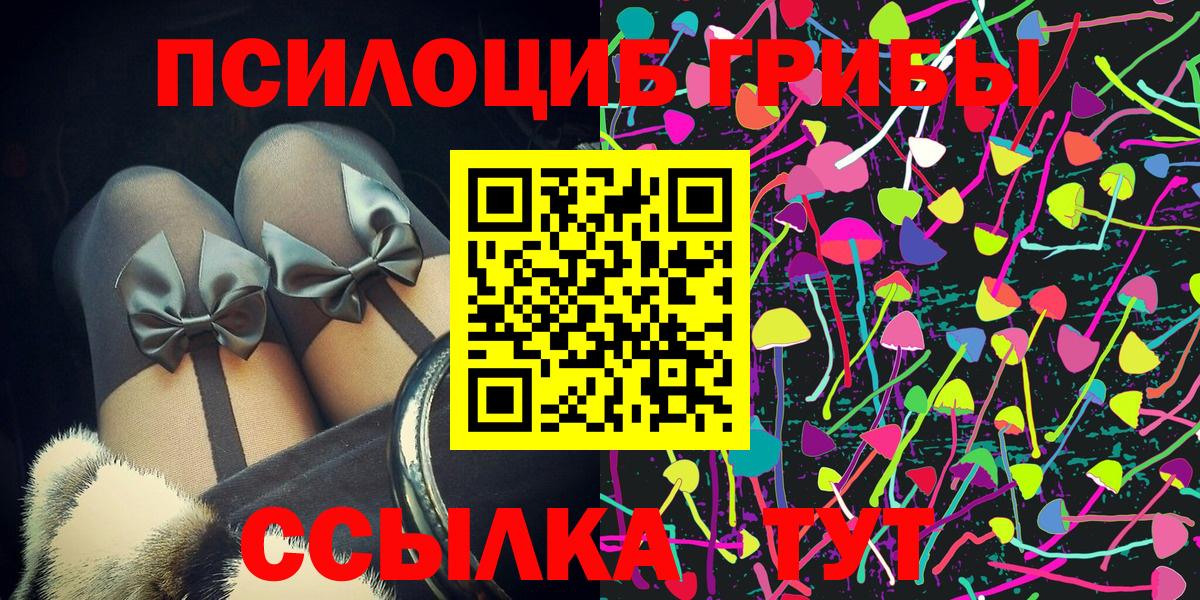 Галлюциногенные грибы MAGIC MUSHROOMS  Галлюциногенные грибы Psilocybe  Вход с VPN  сколько стоит  Котовск 